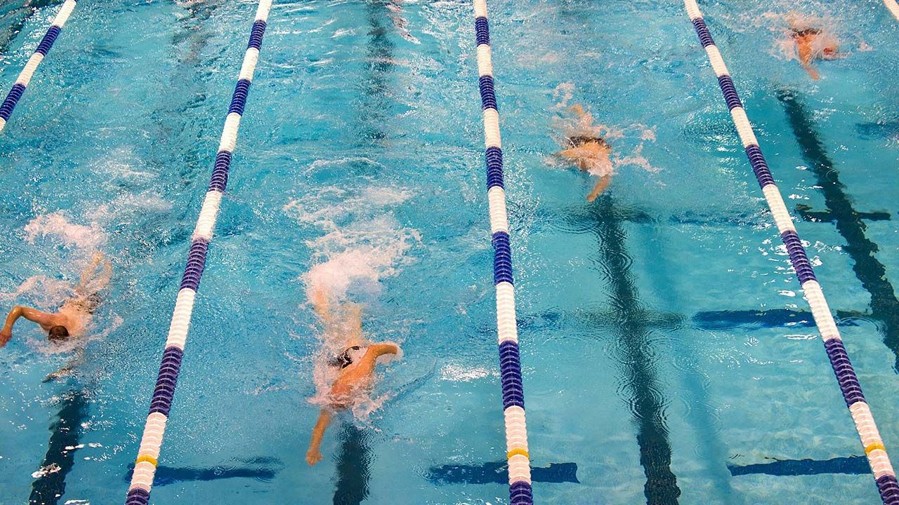 nadadores en una pileta